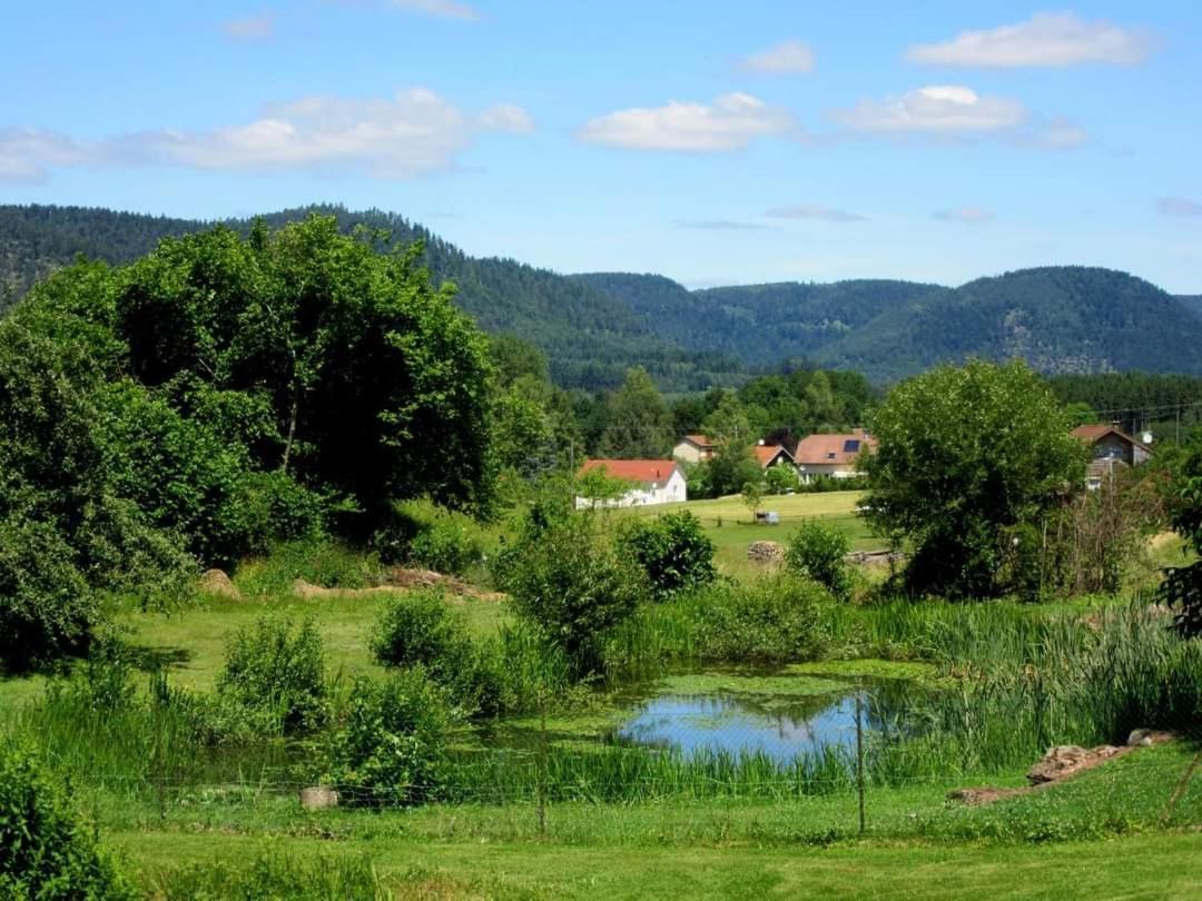 Gites Le Verger Taintrux Exteriér fotografie